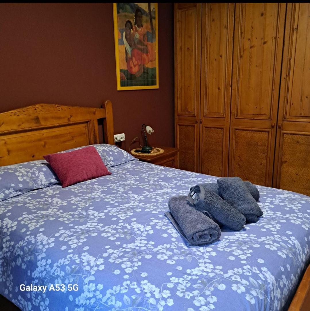 Ensija Pedraforca Apartment Saldes Ngoại thất bức ảnh